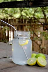 Almitra Sustainables-Stainless Steel straw (Bent) Pack of 2 with 1 Cleaner