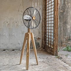 Rhizome-Slice Fan