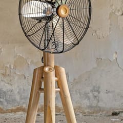 Rhizome-Slice Fan