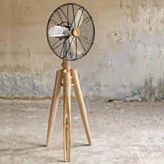 Rhizome-Slice Fan