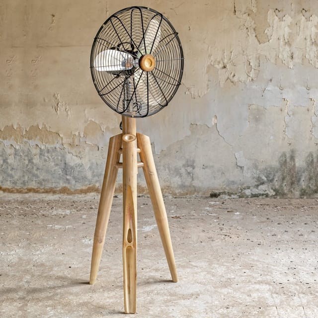 Rhizome-Slice Fan