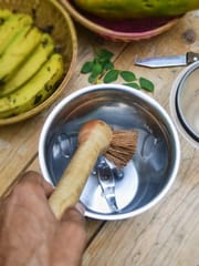 Almitra Sustainables-Coconut Fiber ‚Coir Dip Brush