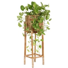 Smitam lifestyle - Bamboo & Cane Planter With Stand