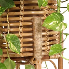 Smitam lifestyle - Bamboo & Cane Planter With Stand