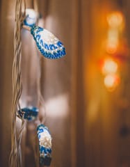 Samoolam Handmade Home Decor LED String Lights ~ Blue Lily Bougainvillea