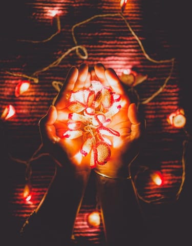 Samoolam Handmade Home Decor LED String Lights ~ Pink Lily Bougainvillea