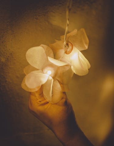 Samoolam Handmade Home Decor LED String Lights ~ Lilac Rose