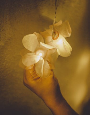 Samoolam Handmade Home Decor LED String Lights ~ Orange Rose