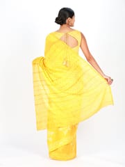 RESHAWeaves - Chanderi Silk Shibori Saree