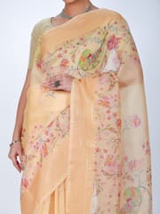 RESHAWeaves - Embroidered Organza Silk Saree