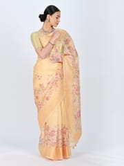 RESHAWeaves - Embroidered Organza Silk Saree