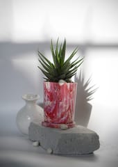 Minus Degre-Eco-Planter I Living Corel I Eco-Friendly