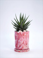 Minus Degre-Eco-Planter I Living Corel I Eco-Friendly