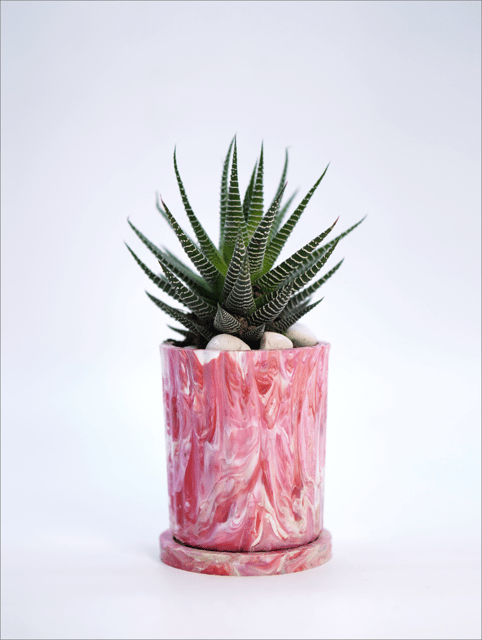 Minus Degre-Eco-Planter I Living Corel I Eco-Friendly