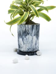 Minus Degre Eco-Pots  I Charcoal - 1 Planter, 1 base Plate