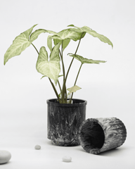 Minus Degre Eco-Pots  I Charcoal - 1 Planter, 1 base Plate