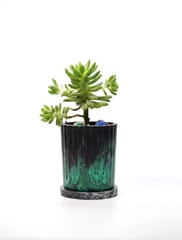 Minus Degre Eco-Planter I Oasis I Recycled - 1 Planter