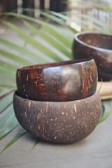 Almitra Sustainables-Coconut Bowl (Pack of 2)