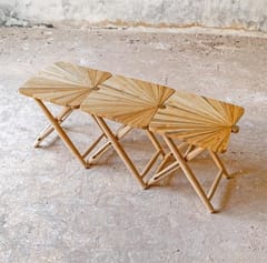 Rhizome-Fan Stool Bench