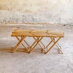 Rhizome-Fan Stool Bench