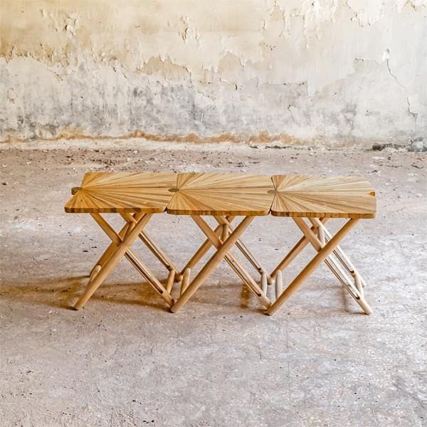 Rhizome-Fan Stool Bench