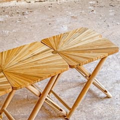 Rhizome-Fan Stool Bench
