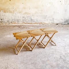 Rhizome-Fan Stool Bench