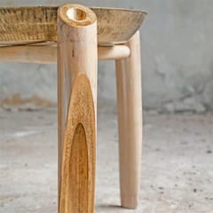 Rhizome-Slice Tagara Table