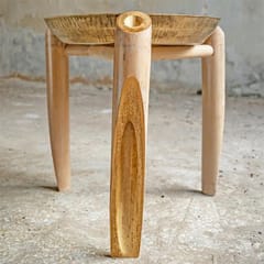 Rhizome-Slice Tagara Table