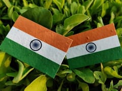 Plantables-Plantable Seed Paper Indian Flag - Pack of 40