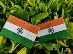 Plantables-Plantable Seed Paper Indian Flag - Pack of 40