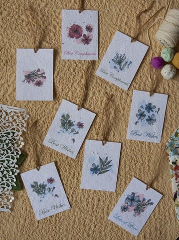 Plantables-Pastel Notes Gift Tags (Set of 8)