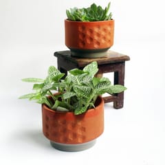 Craftlipi-Planters : HexaDeco Set of 2