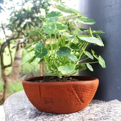 Craftlipi-SHALLOW JUTE TEXTURED Terracotta Planter   Set of 2