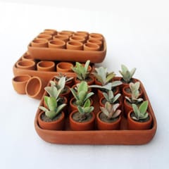 Craftlipi-SQUARE Plantation / Germination Kit : Set of 50 small pots + 3 trays + 50 pusher tablets