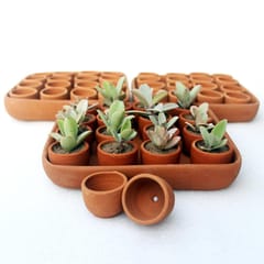 Craftlipi-SQUARE Plantation / Germination Kit : Set of 50 small pots + 3 trays + 50 pusher tablets