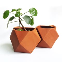 Craftlipi-D'MOND-1 Terracotta Planter with Deep Root Watering System  Set of 2