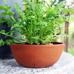 Craftlipi-SHALLOW PLAIN Terracotta Planter  Set of 2
