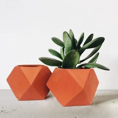 Craftlipi-D'MOND-3 Terracotta Planter Set of 2