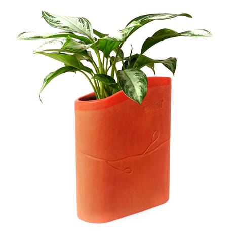 Craftlipi-BUUK Terracotta Planter