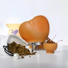Craftlipi-I Care Planter (Heart Shape Planter + Plant + Aluminium Stand )