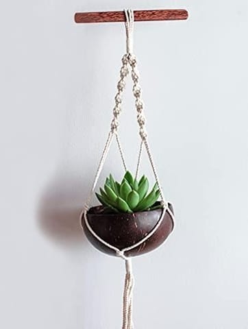 Thenga Coconut Shell Hanging Planter for Small Plants & Succulents ( Coconut Planter + Macrame Hanger )