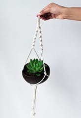 Thenga Coconut Shell Hanging Planter for Small Plants & Succulents ( Coconut Planter + Macrame Hanger )