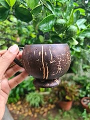 Thenga Coconut Teacup | Natural & Handmade | For Hot & Cold Beverages - 200 ml (Set of 2)