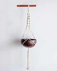 Thenga Coconut Shell Hanging Planter for Small Plants & Succulents ( Coconut Planter + Macrame Hanger )