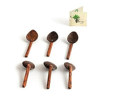 Thenga Coconut Shell Masala Spoon Set of 6 for Small Containers | Handmade & Eco-friendly | For Tea, Coffee, Sugar, Spices