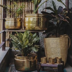 P-Tal-Brass Planters