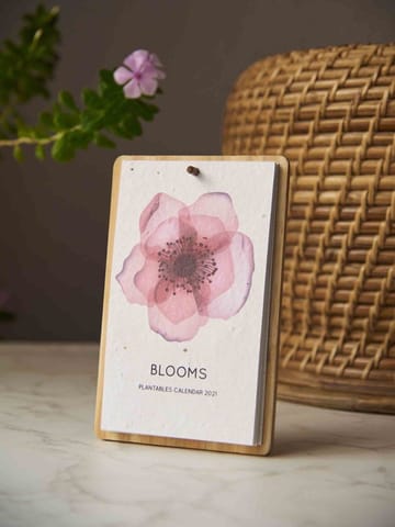 Plantables-Blooms Calendar 2023