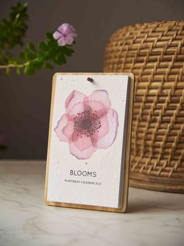 Plantables-Blooms Calendar 2025