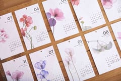 Plantables-Blooms Calendar 2024